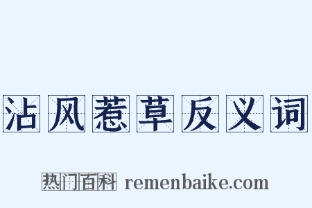 沾风惹草反义词是什么意思的图片